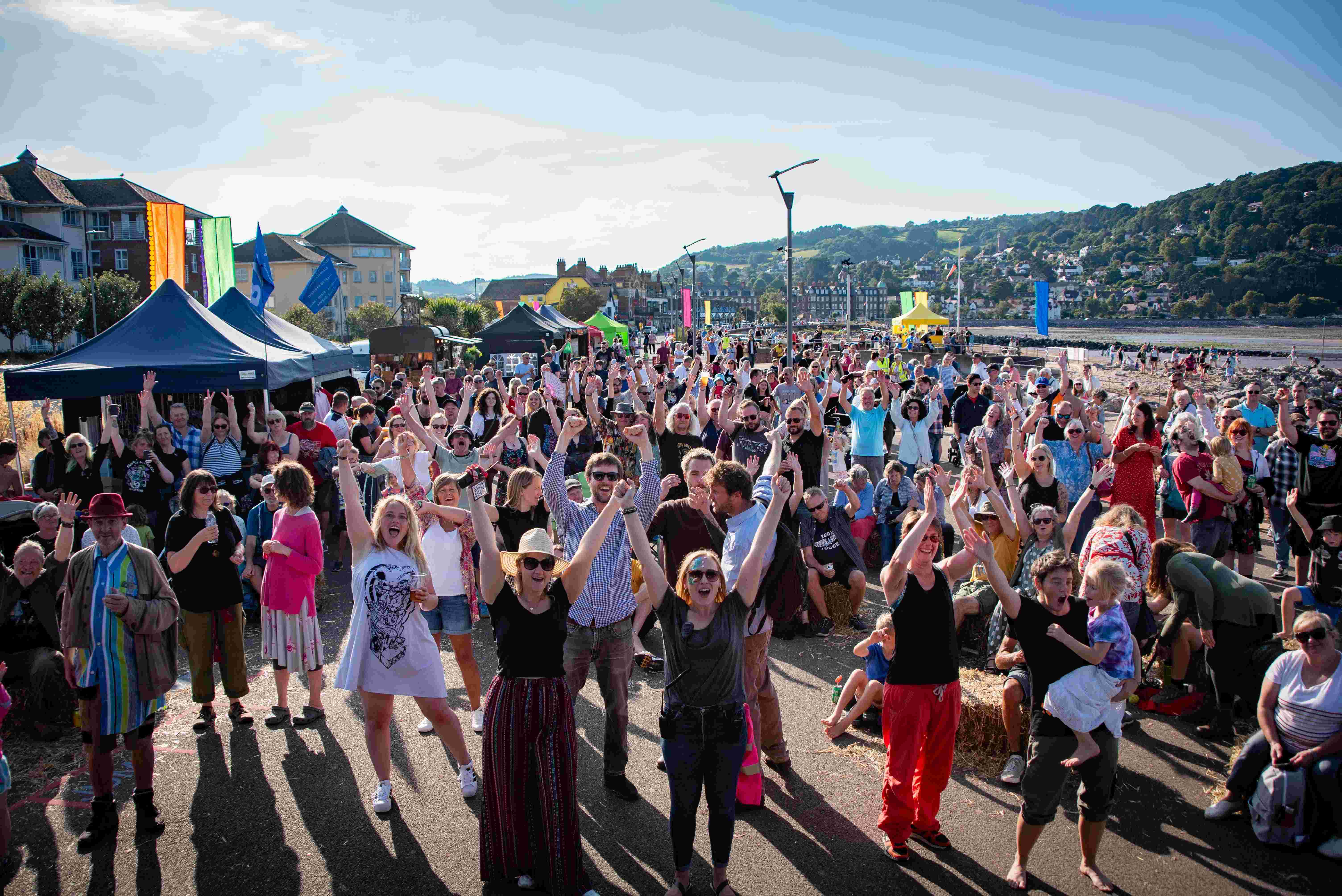 Volunteer for Minehead Bay Festival