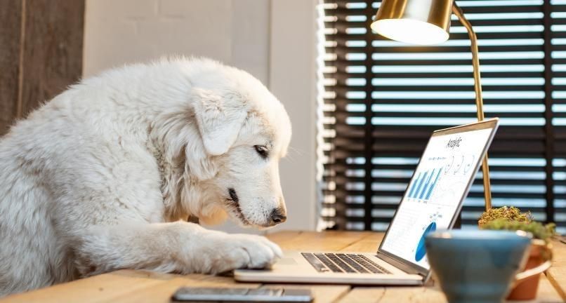 Volunteer Ecommerce Assist(Attleborough, Cromer, Dereham, Norwich or Sheringham)