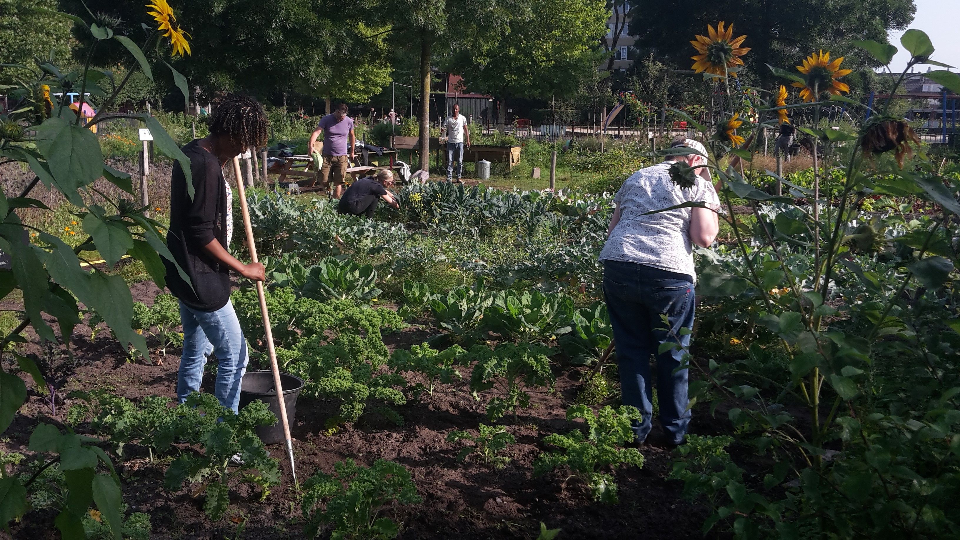 Gezocht: secretaris voor de Voedseltuin Overvecht