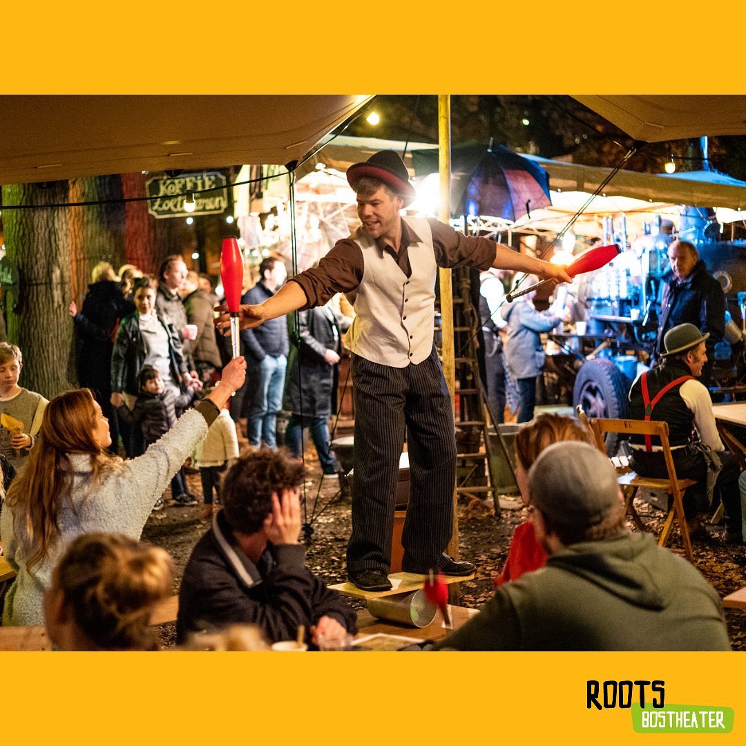 Artiestenbegeleiding Festival Roots in the Woods