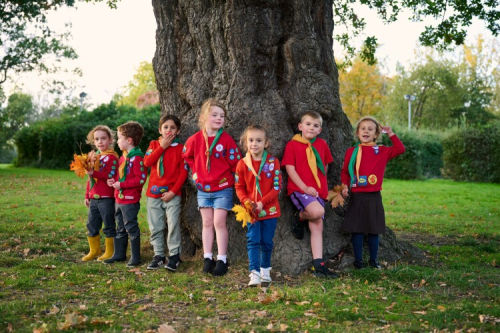 Squirrel Scouts Team Member