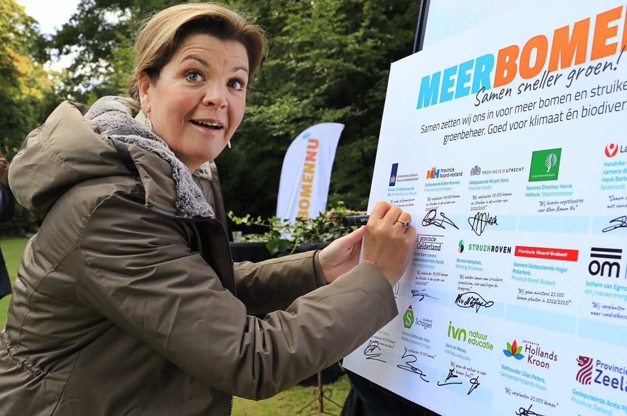 Help mee ongewenste/kansloze zaailingen verplanten en vergroen de omgeving