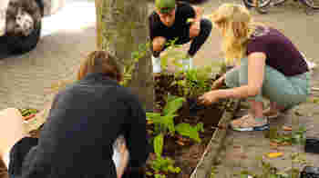 Groene wijkreporter gezocht