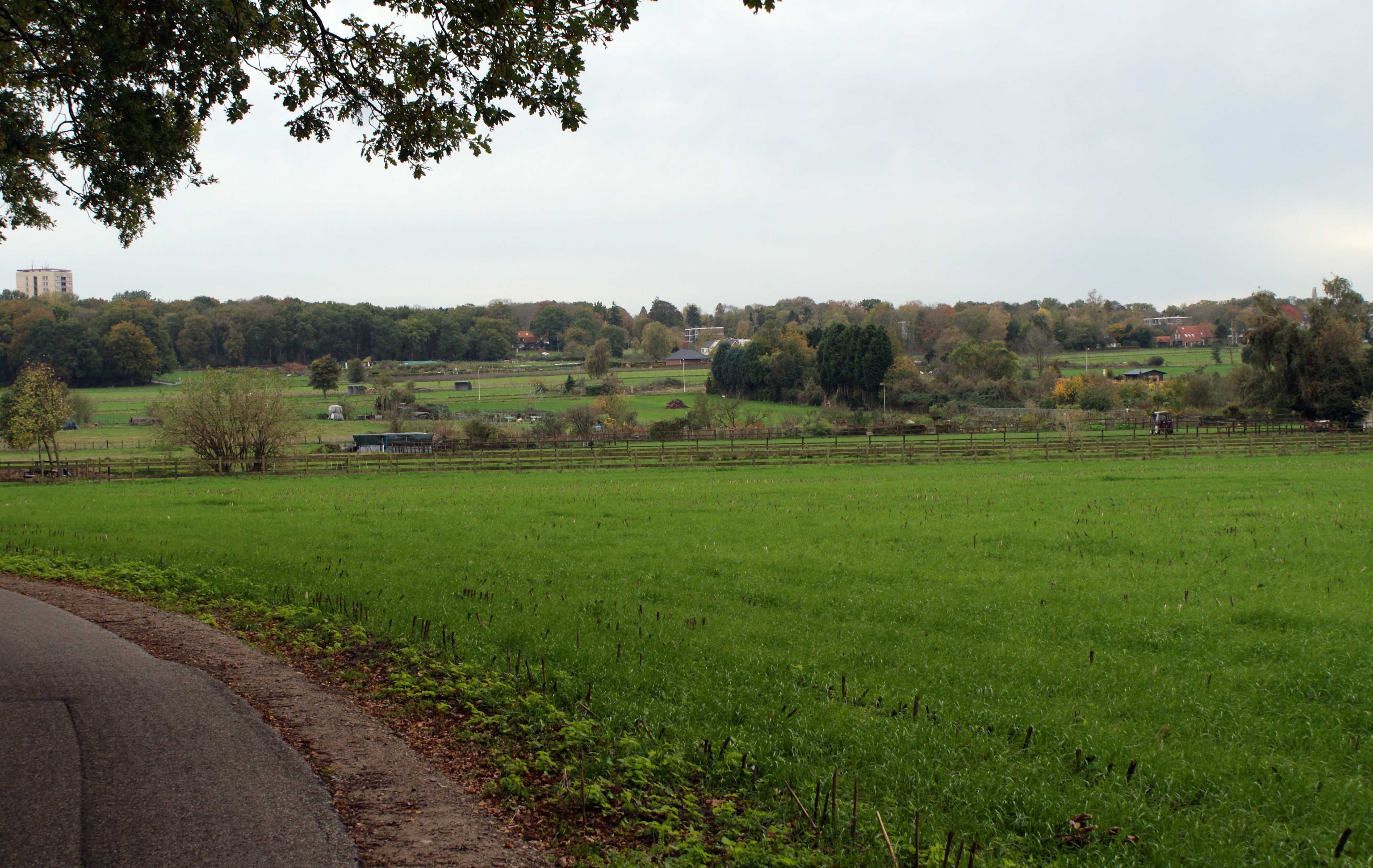 Coördinator gezocht voor leuke activiteiten op de Wageningse Eng