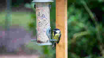 Conservation & Grounds Maintenance Volunteer Group Days - Monthly