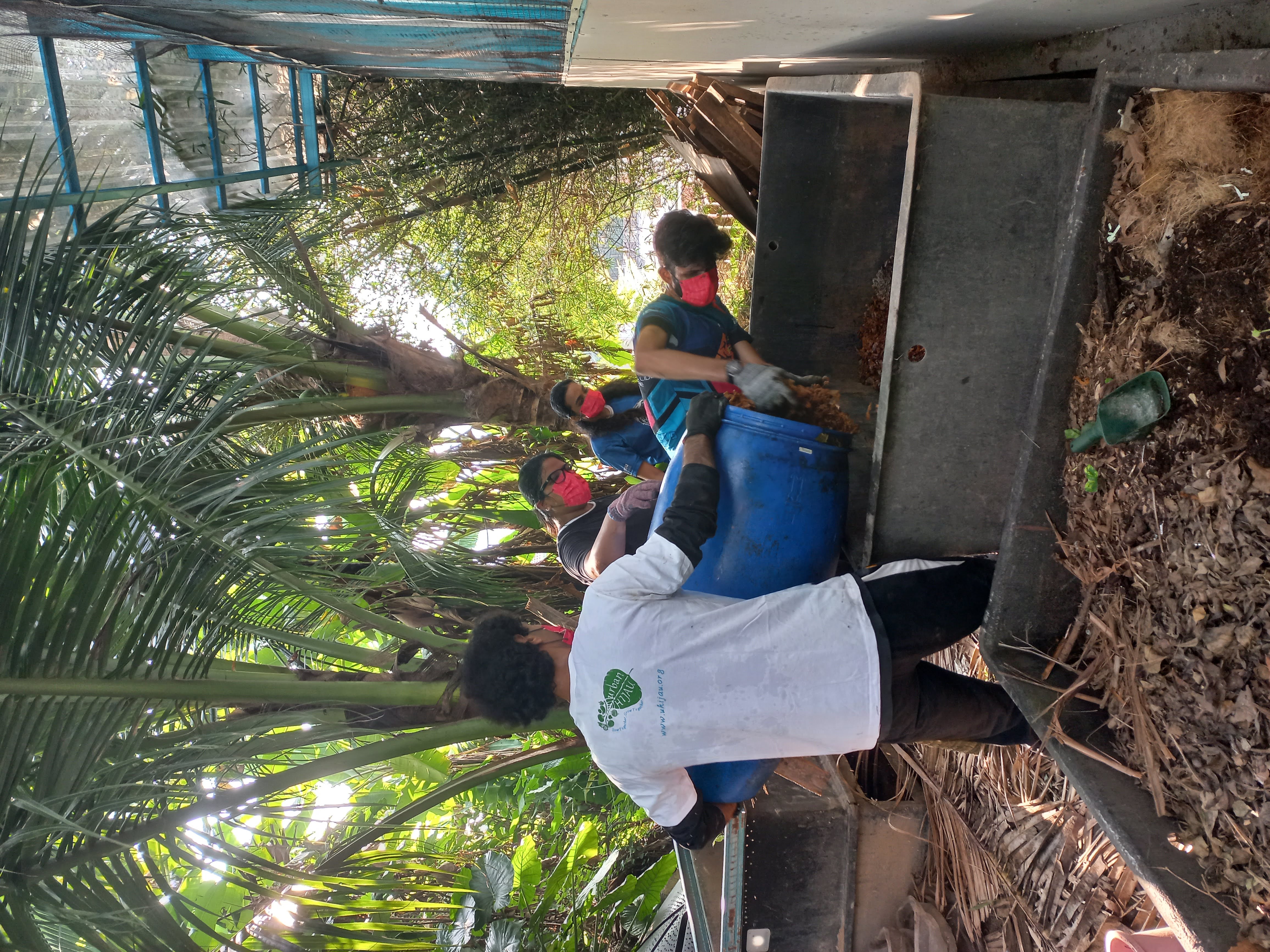 Volunteer at an Urban Farm