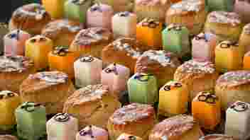 Vrijwilligerslunch 2024