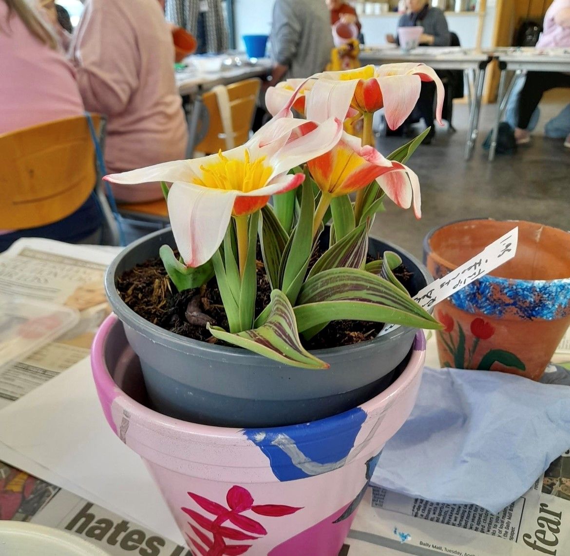 Arty Party Volunteer