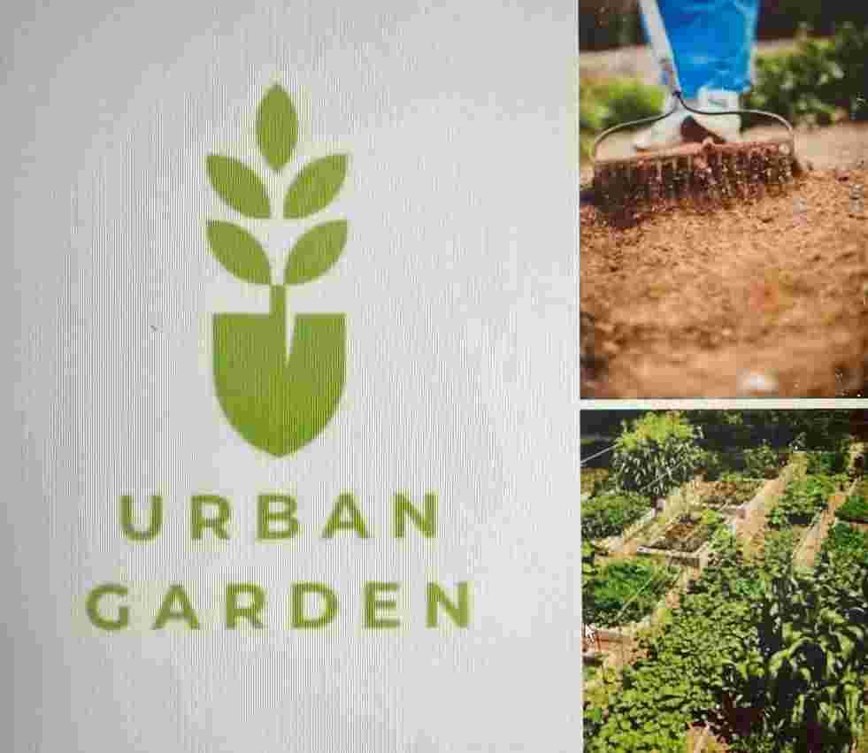 Gardener wanted to assist with new allotment project