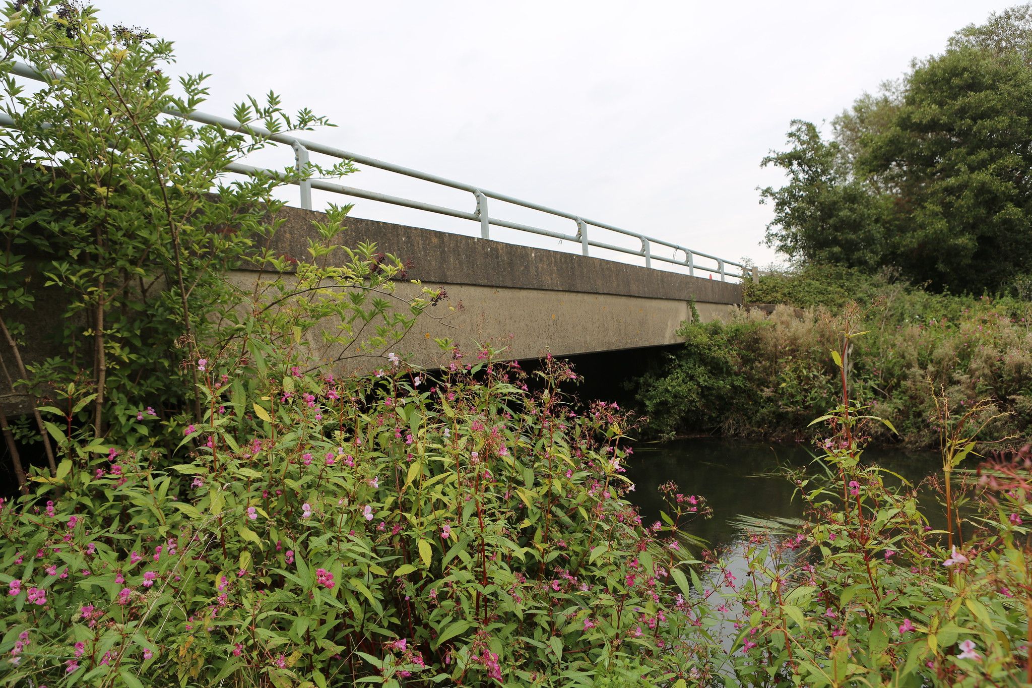 Work Party Volunteers 