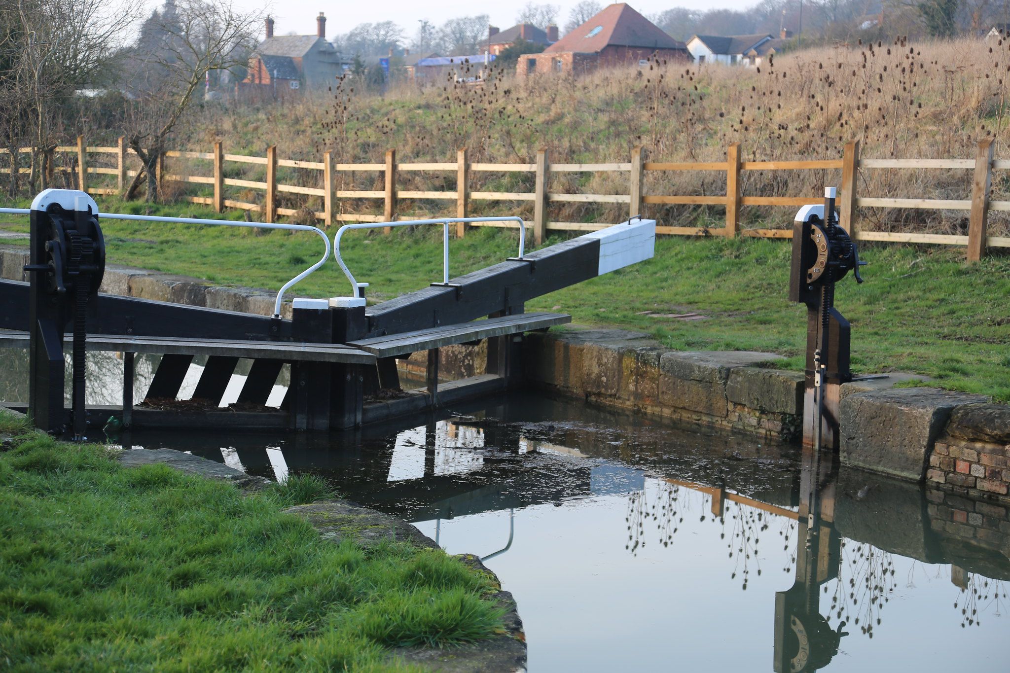 SVCC Director (and Trustee)