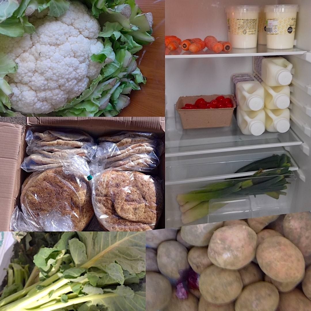 carer for our Food Hub 