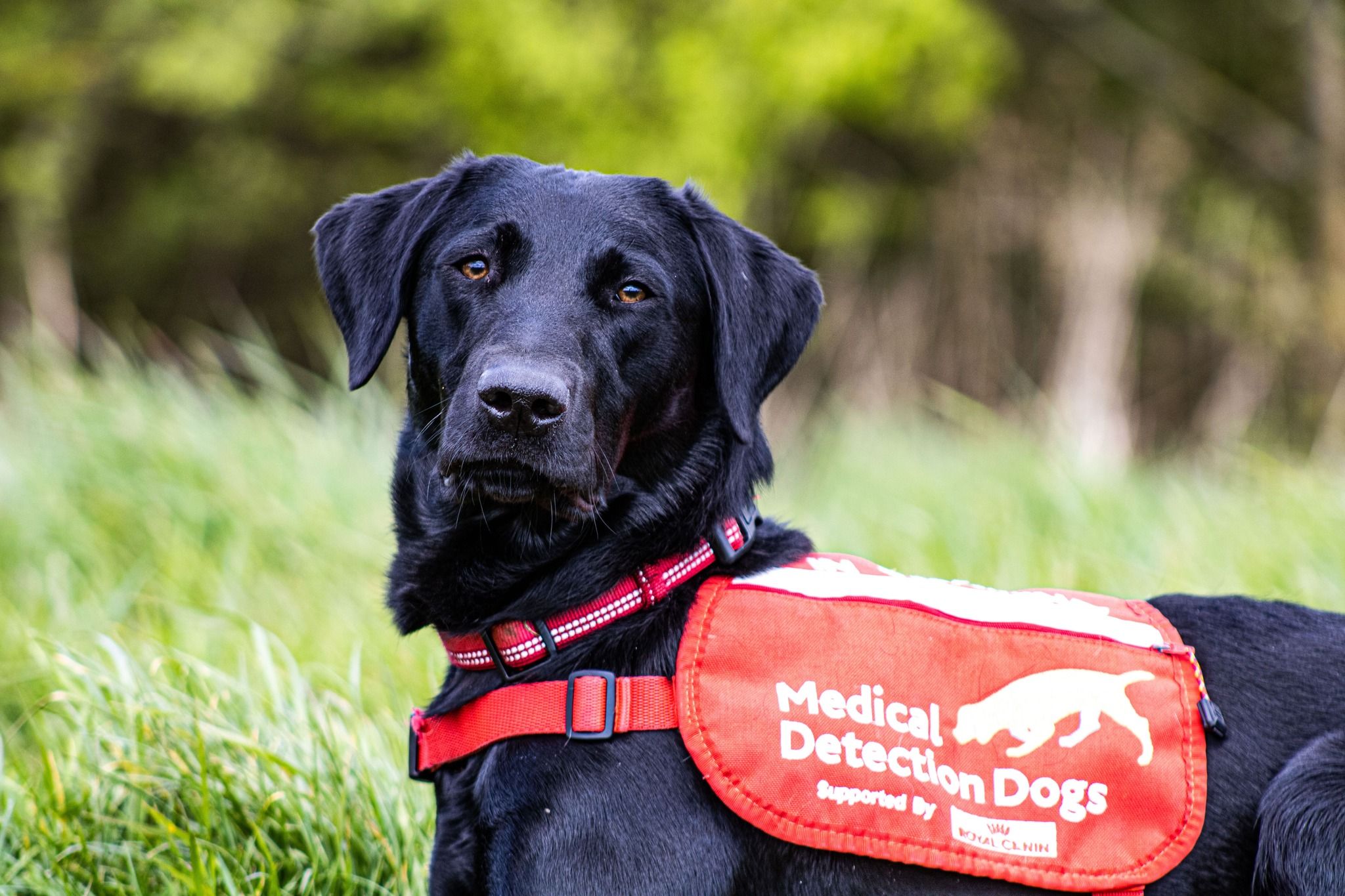 Regional Support Group Fundraiser