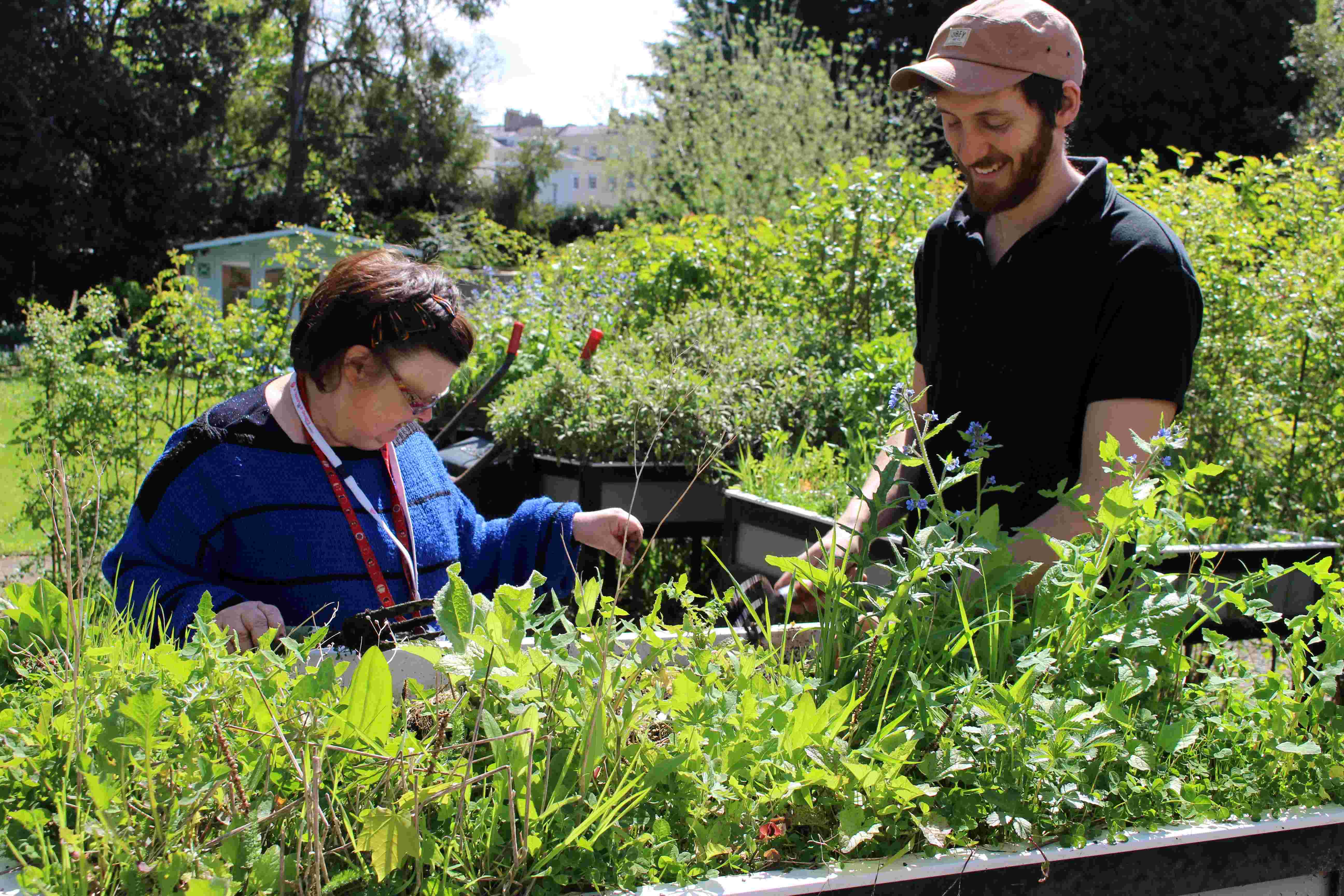 Volunteer For Aim Up