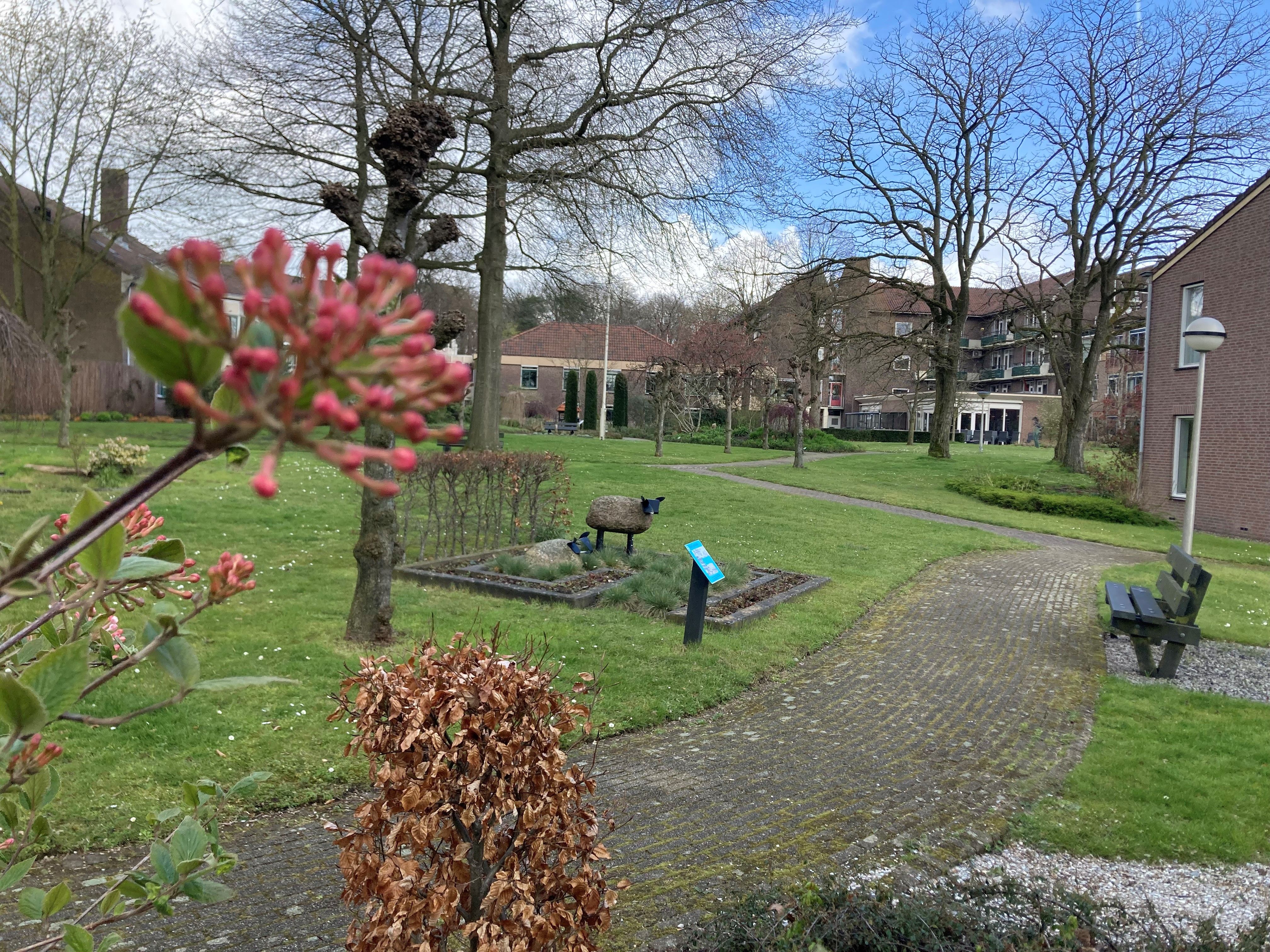 Wandelvrijwilliger, iets voor jou?