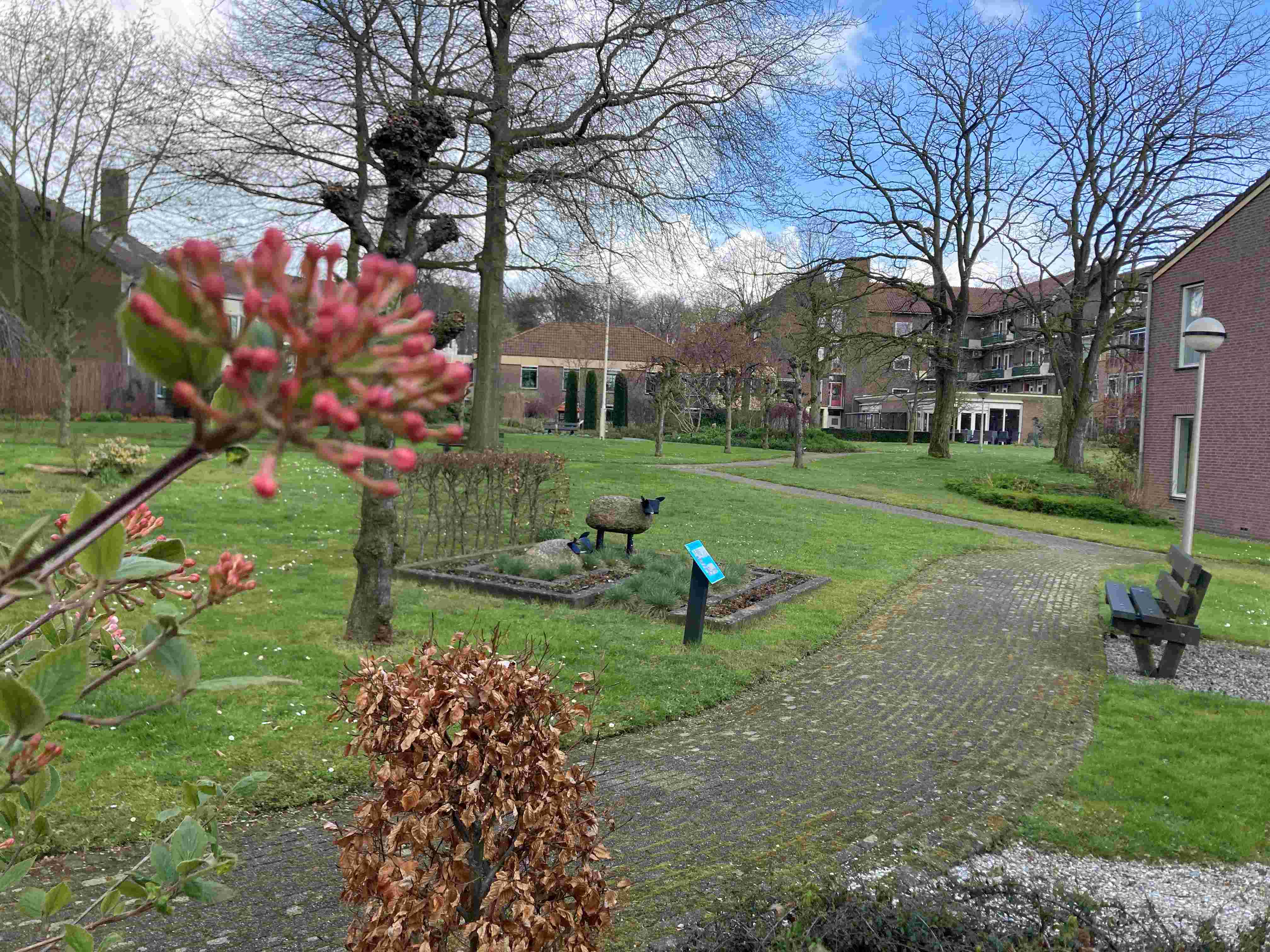 Wandelvrijwilliger, iets voor jou?