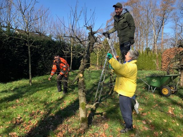 Deelnemen aan het Tuinteam van Museum Geelvinck op Huize Kolthoorn