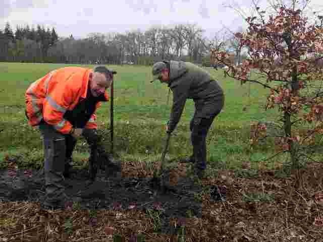 Tiny Forest aanplanten