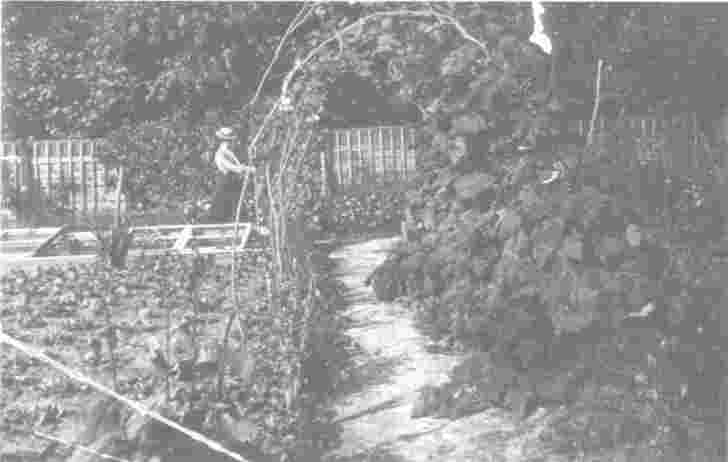 Helpen in de oude Moestuin van Huize Kolthoorn