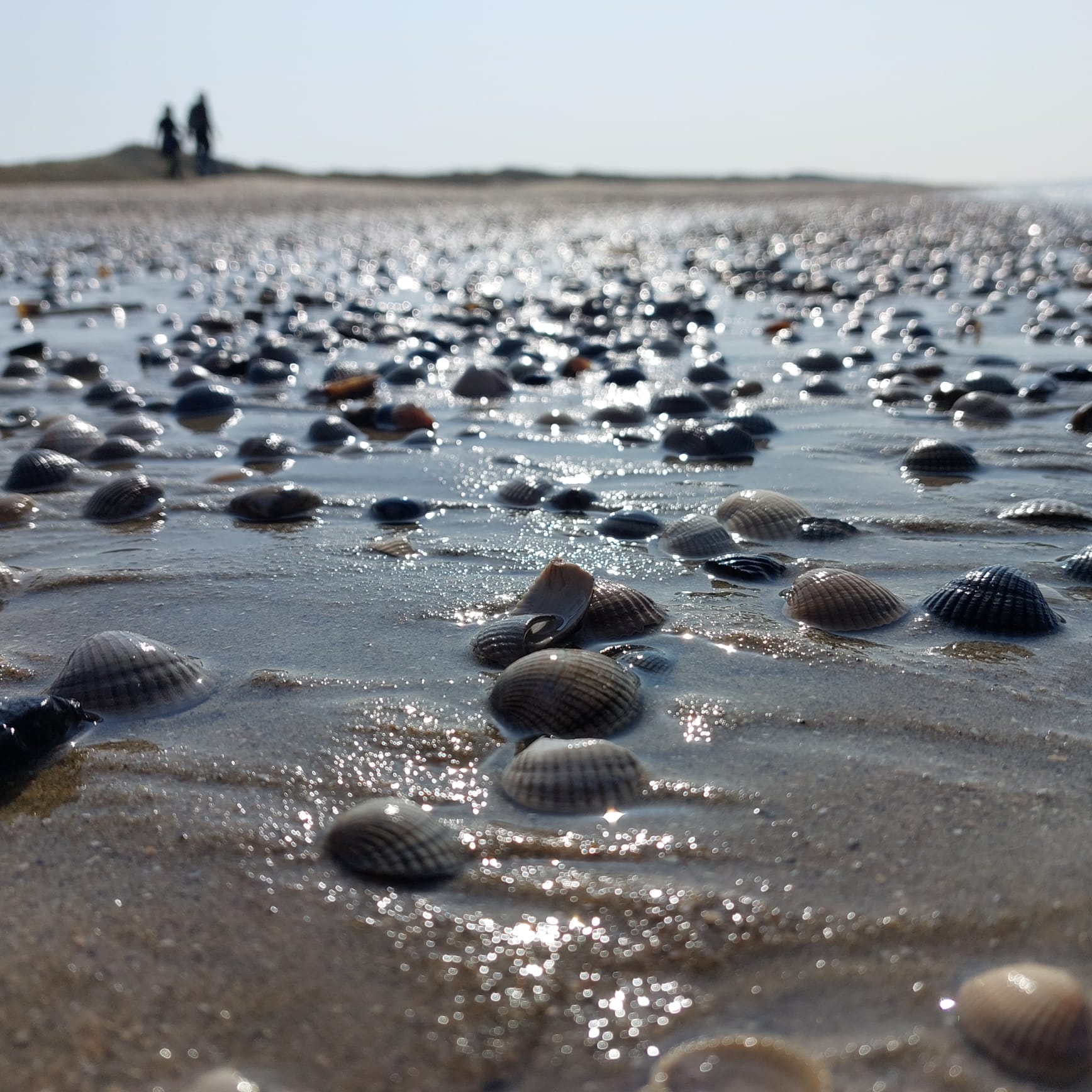 Fotoworkshop 'Haal meer kiekjes uit je smartphone'