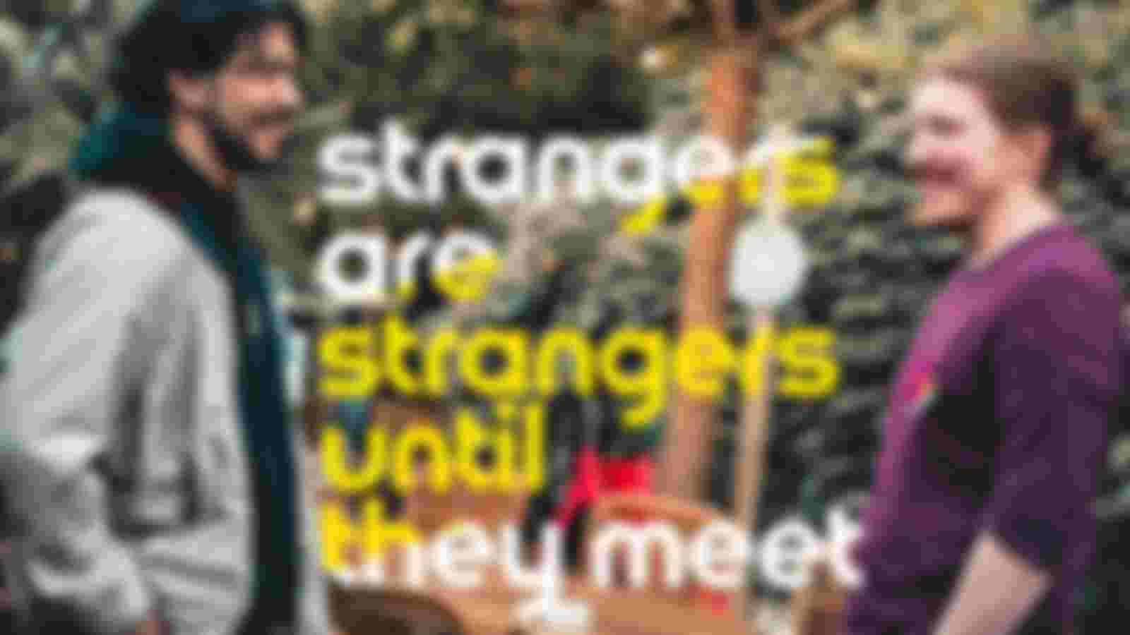 Meet some Buddy - Buddy's gezocht!