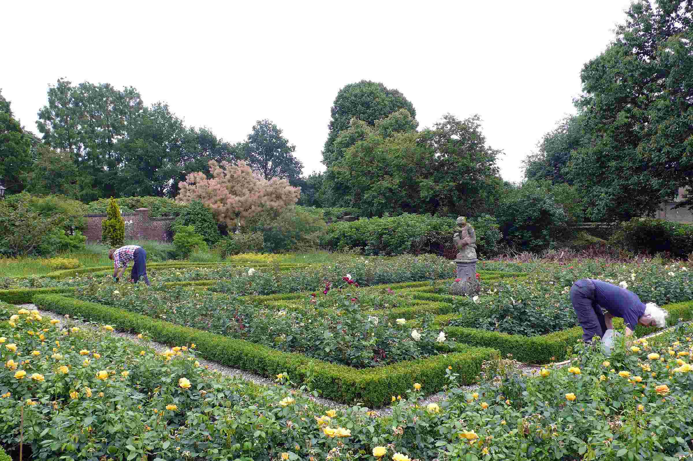 Tuinvrijwilliger (siertuin en/of parkbos)
