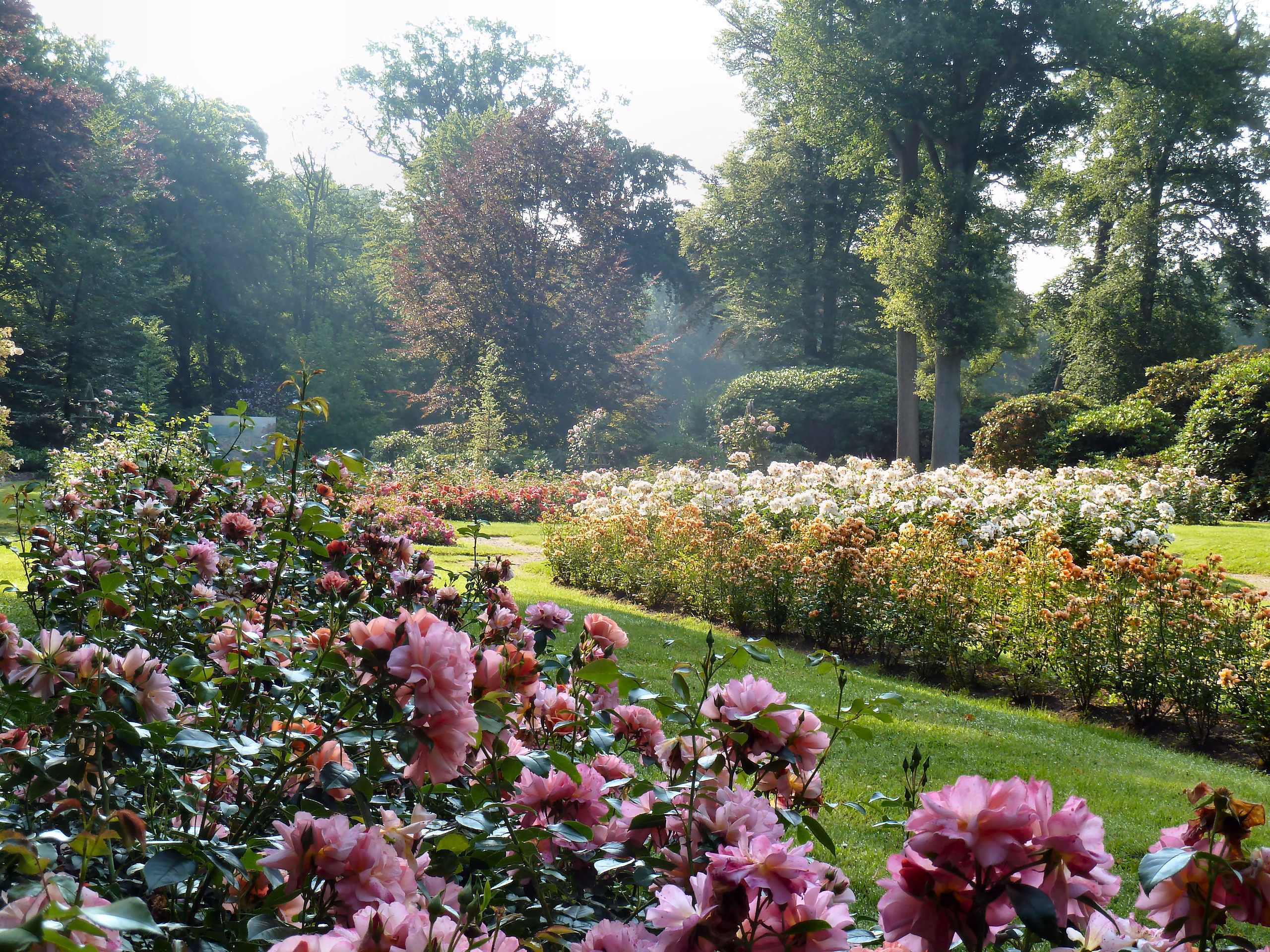 Ben jij sterk en hou jij van tuinieren?