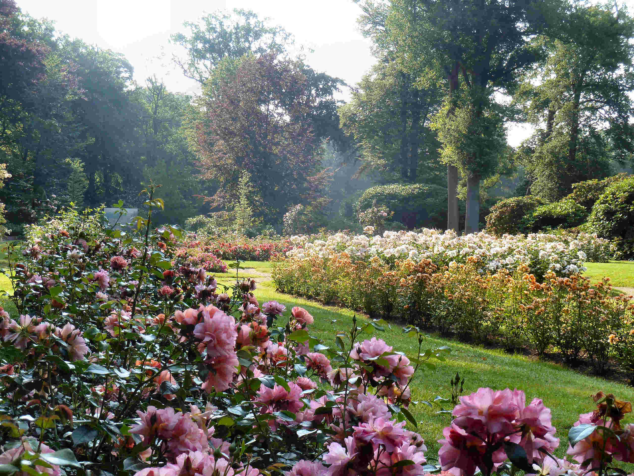 Ben jij sterk en hou jij van tuinieren?