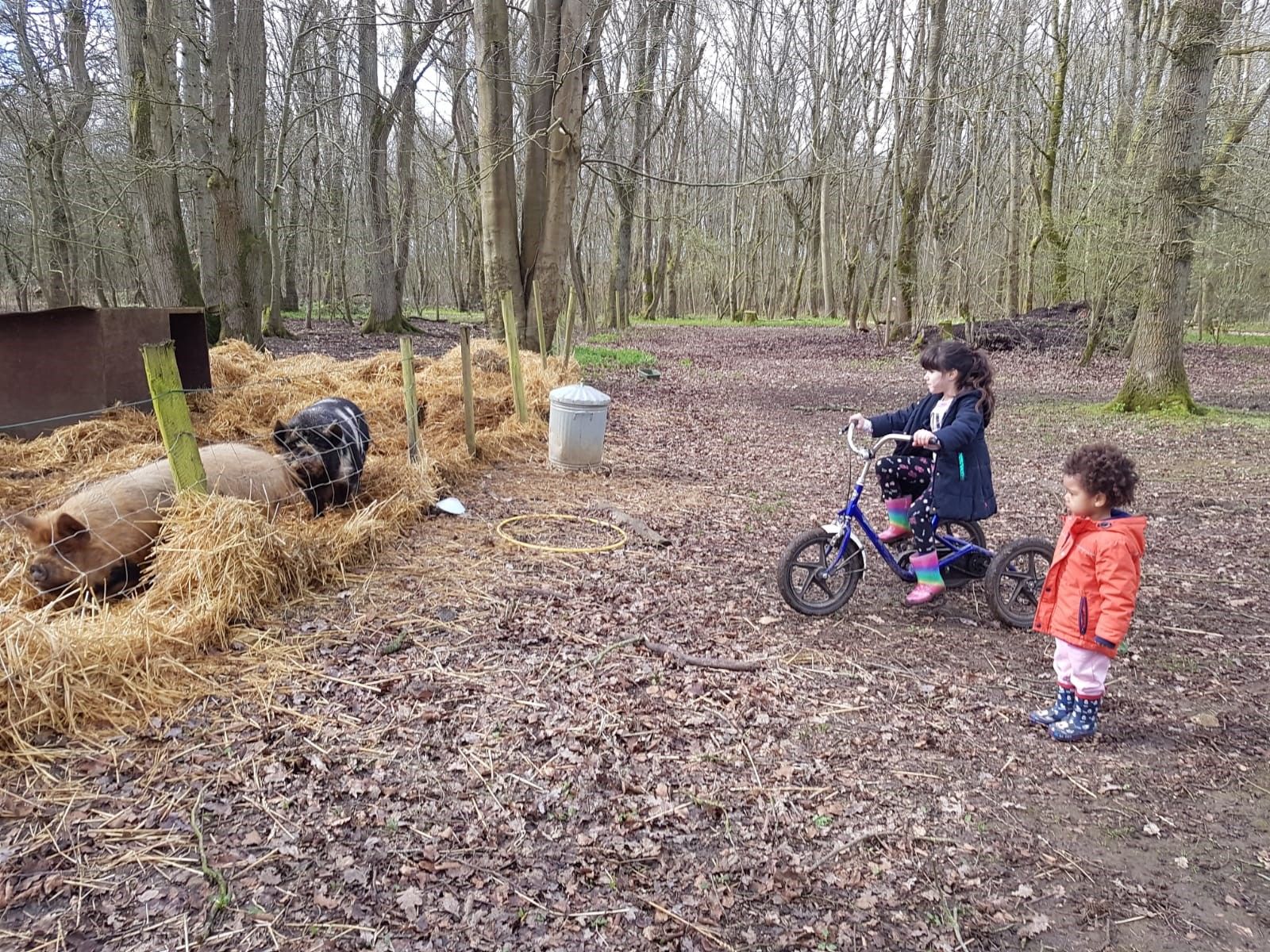 Bike Repair Volunteers, many bikes, means many repairs, we'd love your skills