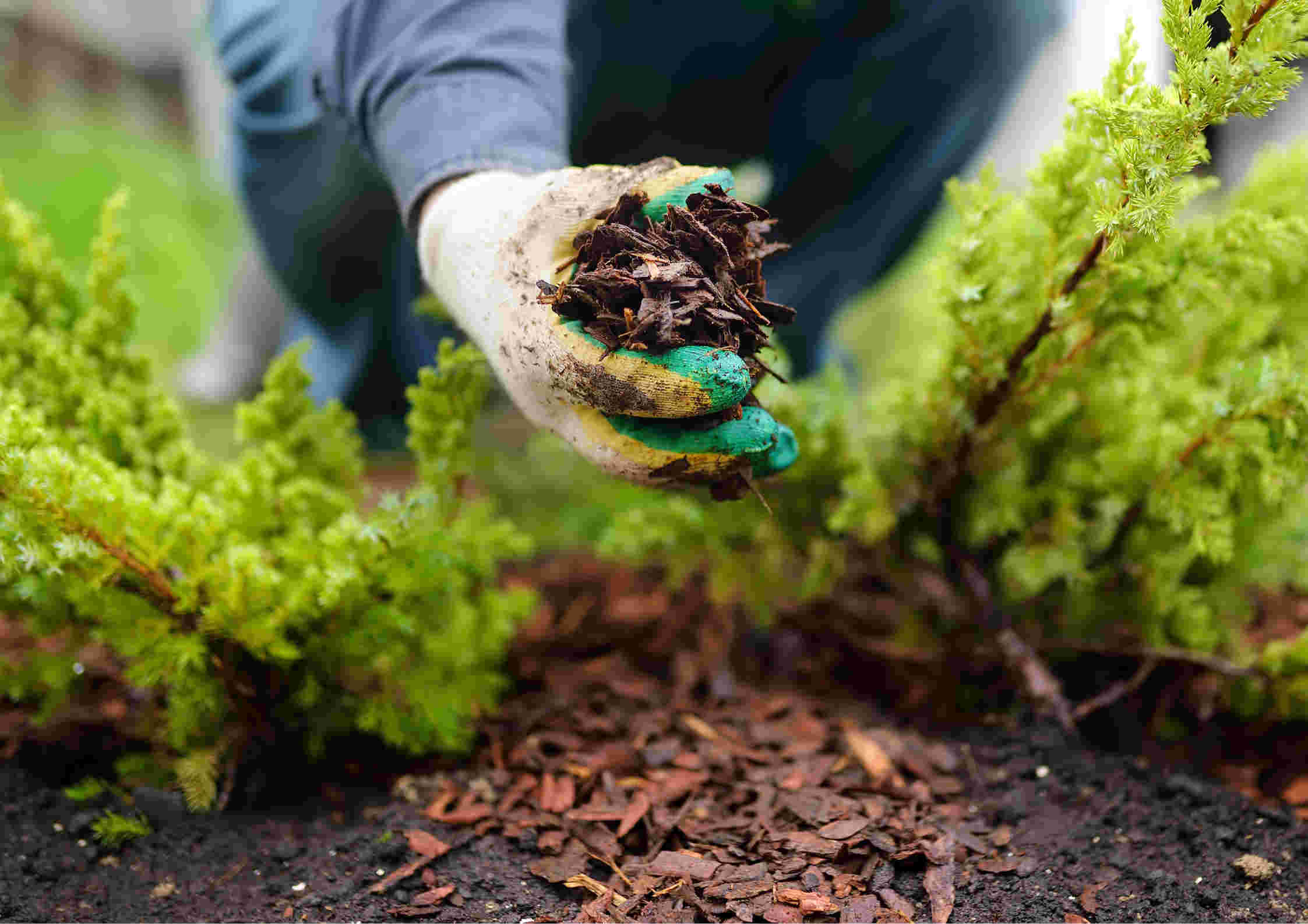 Tuinieren voor het geluk van de ander