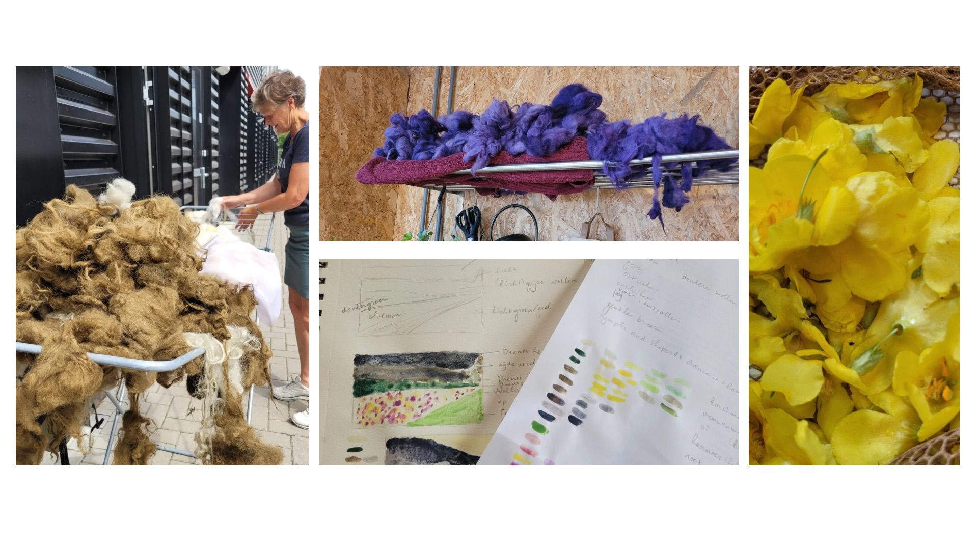 Hou je van schapenwol? Doe mee met Wolweefsels!