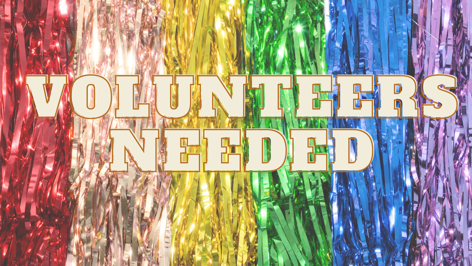 Activities Volunteer