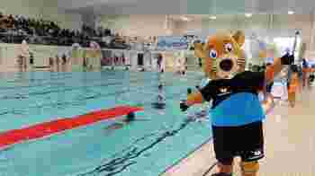 Op zoek naar een manier om bij een zwemschool je steentje bij te dragen?