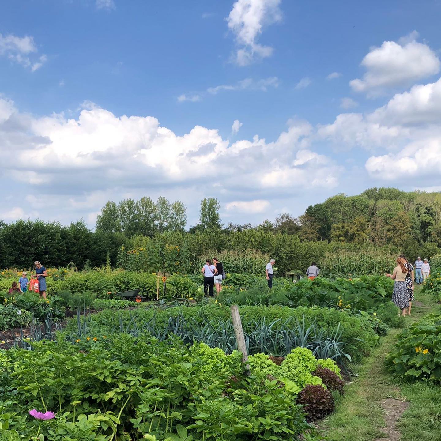 Ecologische Tuinderij - gezellig buiten aan de slag op deze prachtlocatie