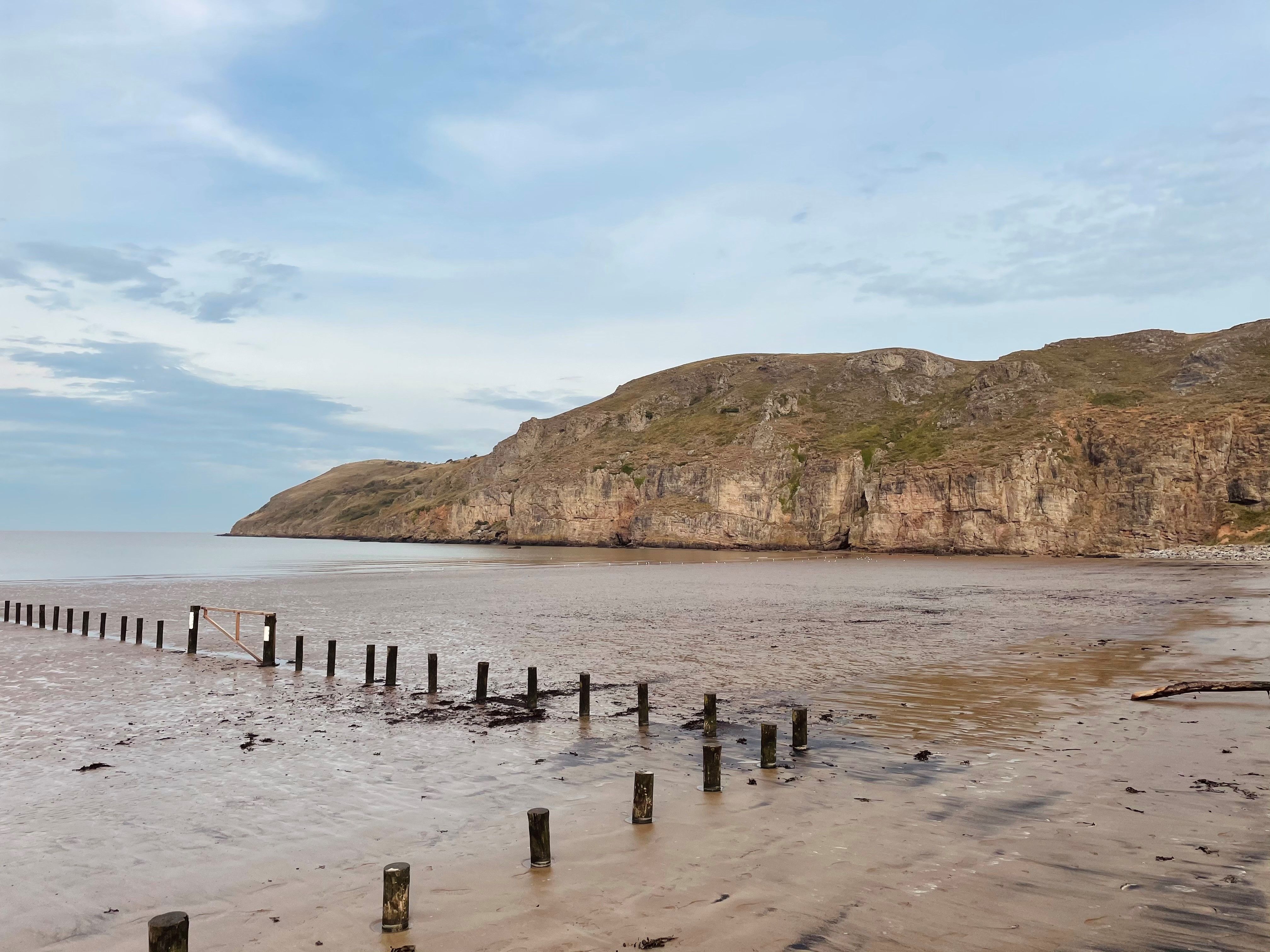 Brean Down - Volunteer Tour Guide