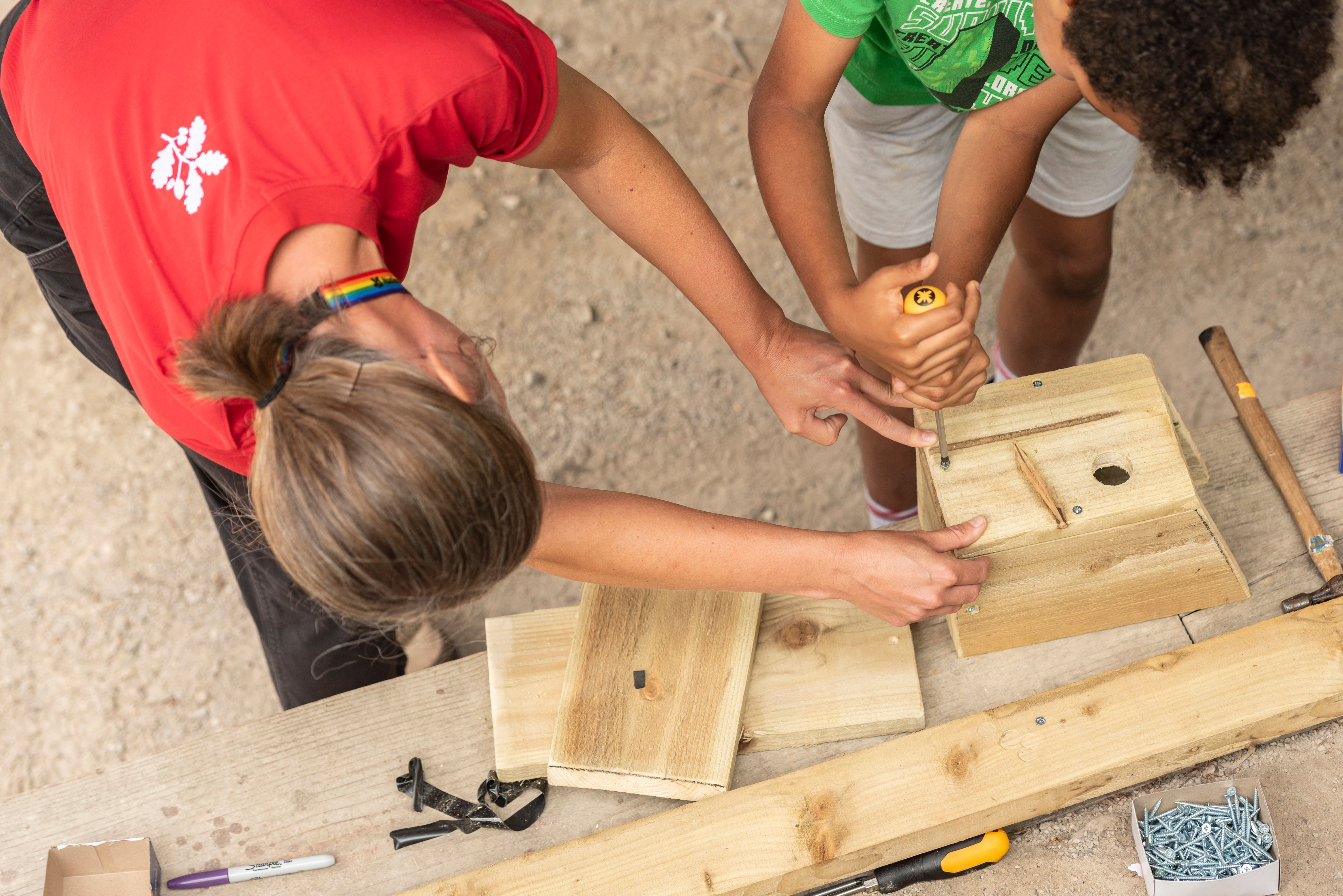 Bird Box Building - Glastonbury Tor