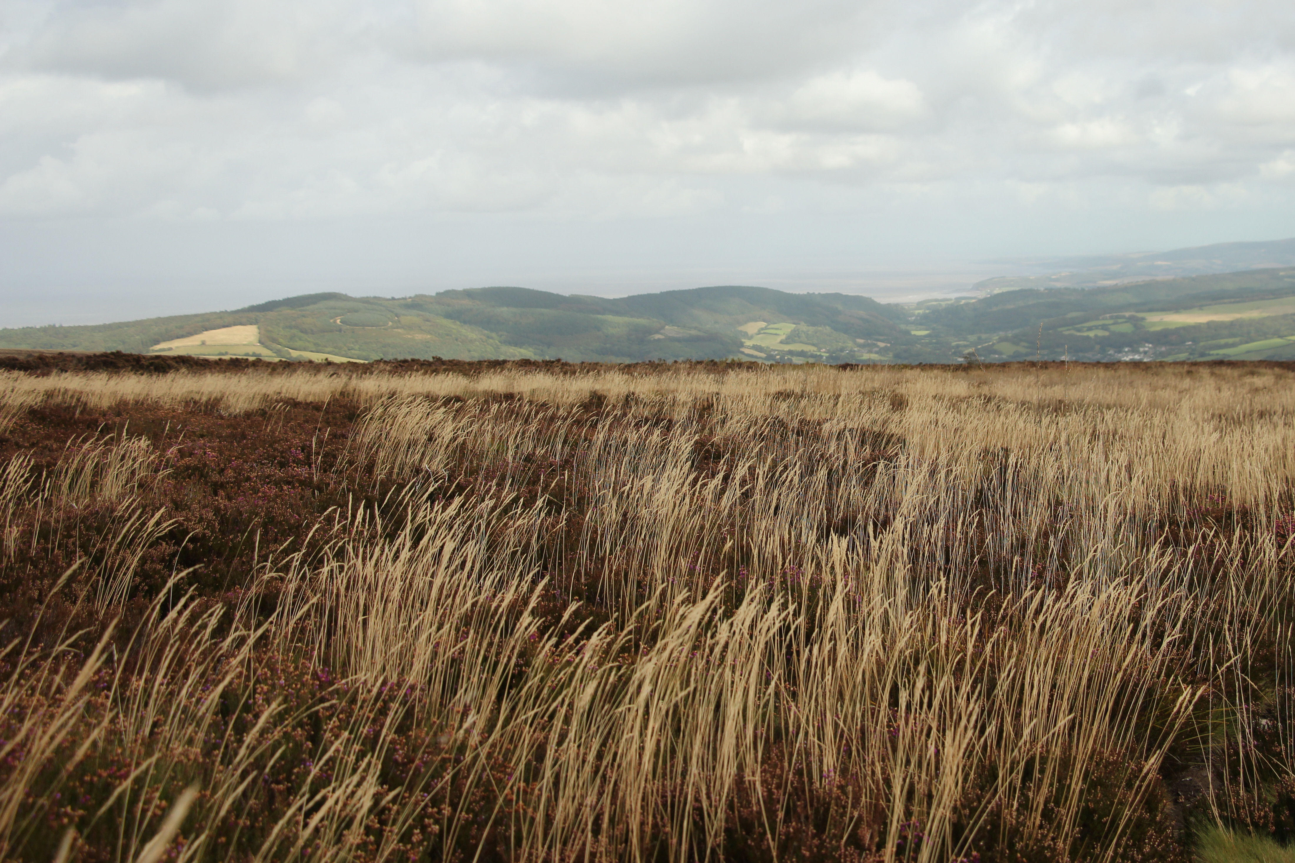 Exmoor Festival Of Nature Volunteers
