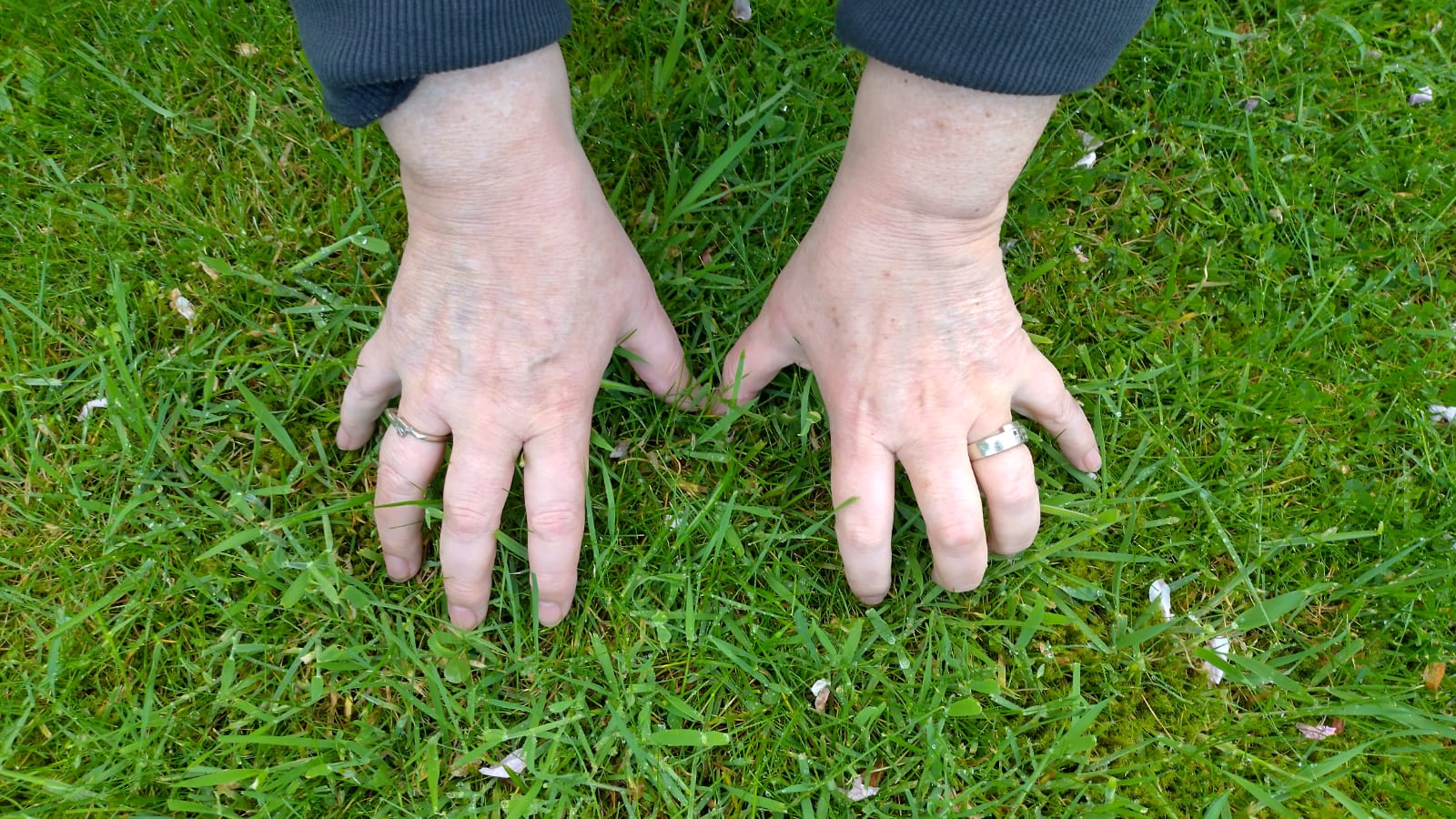 Interim vrijwilliger: Copywriter