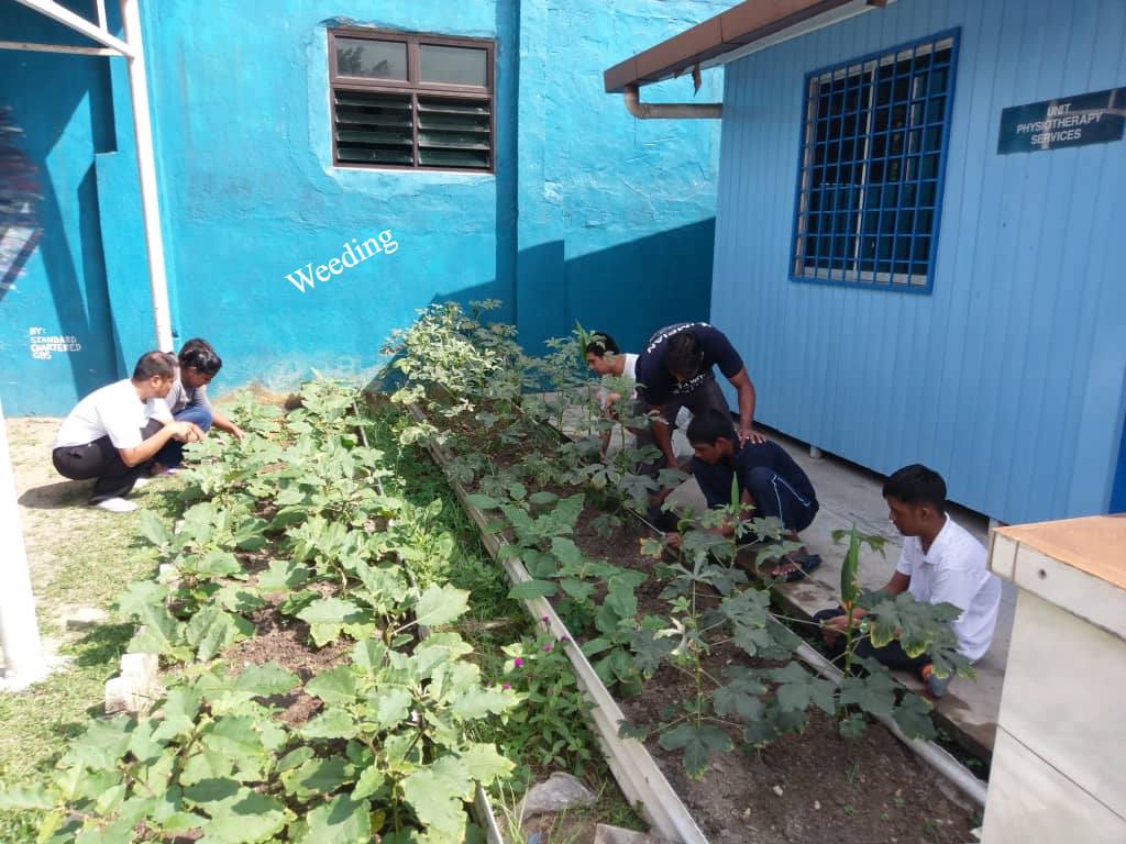 Volunteer for Gardening Activities