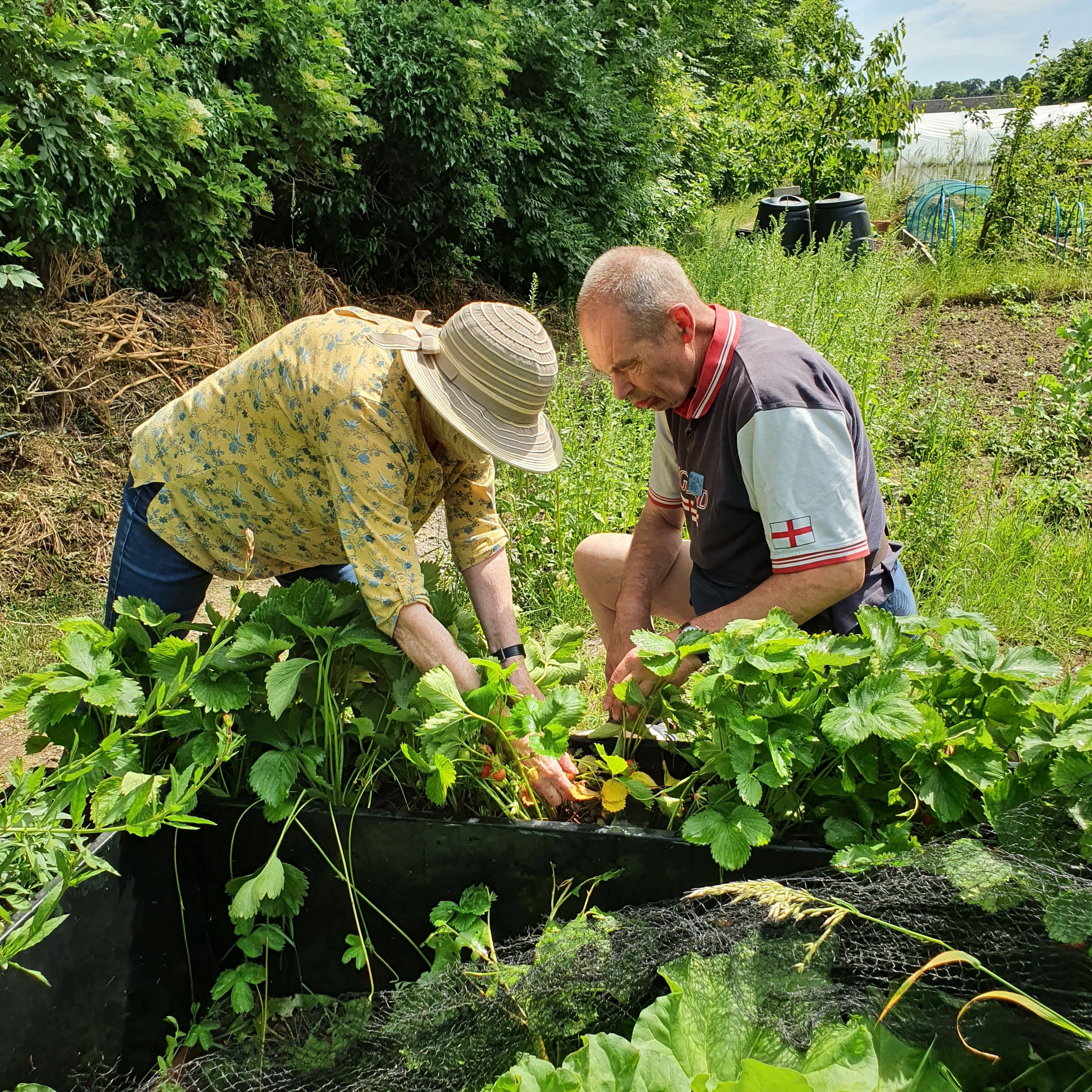 Caring Volunteer to assist staff at our Growing Ability Project