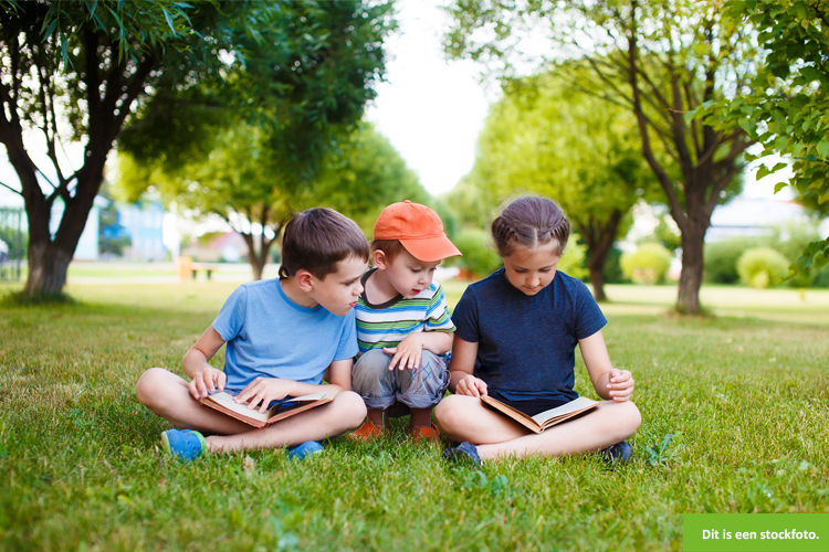 Mogen deze drie lieverd af en toe in het weekend bij jou komen logeren?