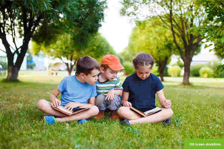 Mogen deze drie lieverd af en toe in het weekend bij jou komen logeren?