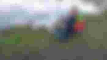 Wil jij een belangrijke rol spelen in het redden van dierenlevens?