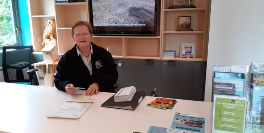 Visitor welcome volunteers