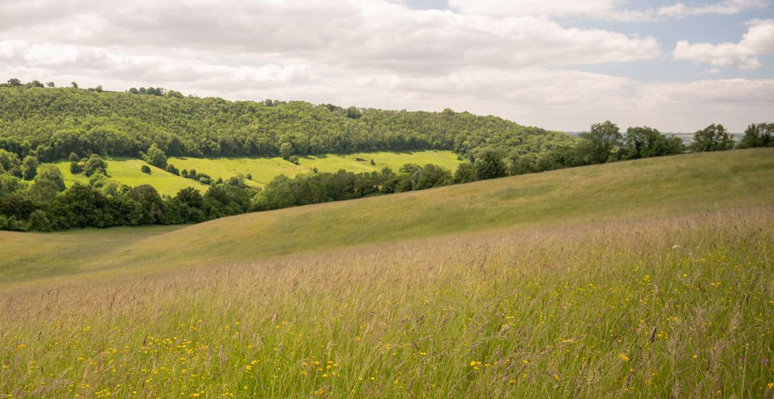 Outdoor Habitat Management Support