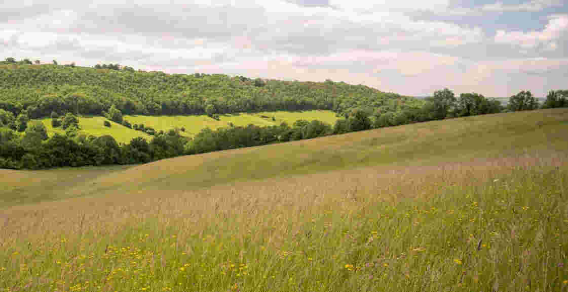 Outdoor Habitat Management Support