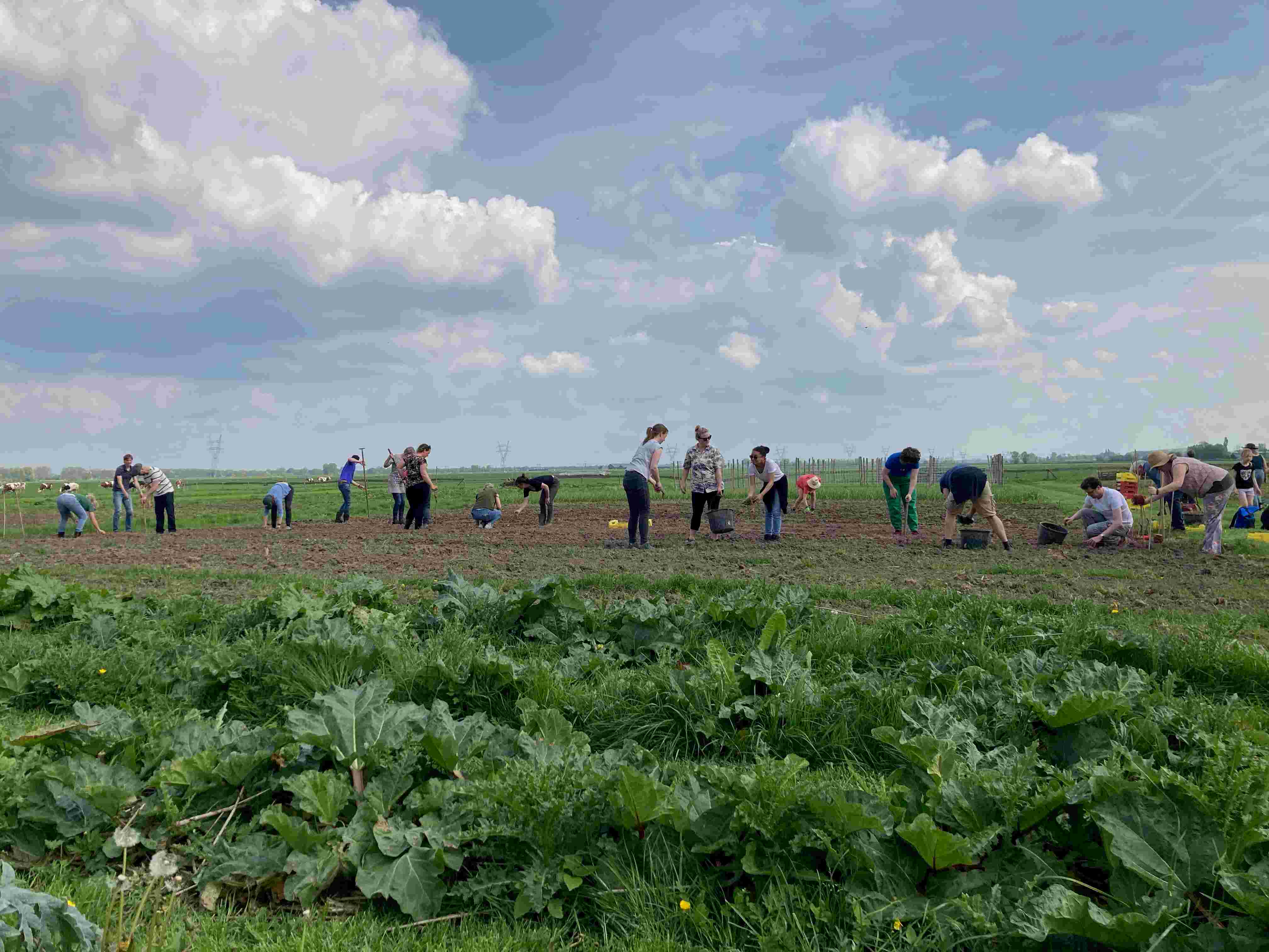 Tuiniers gezocht voor biologische groentepluktuin