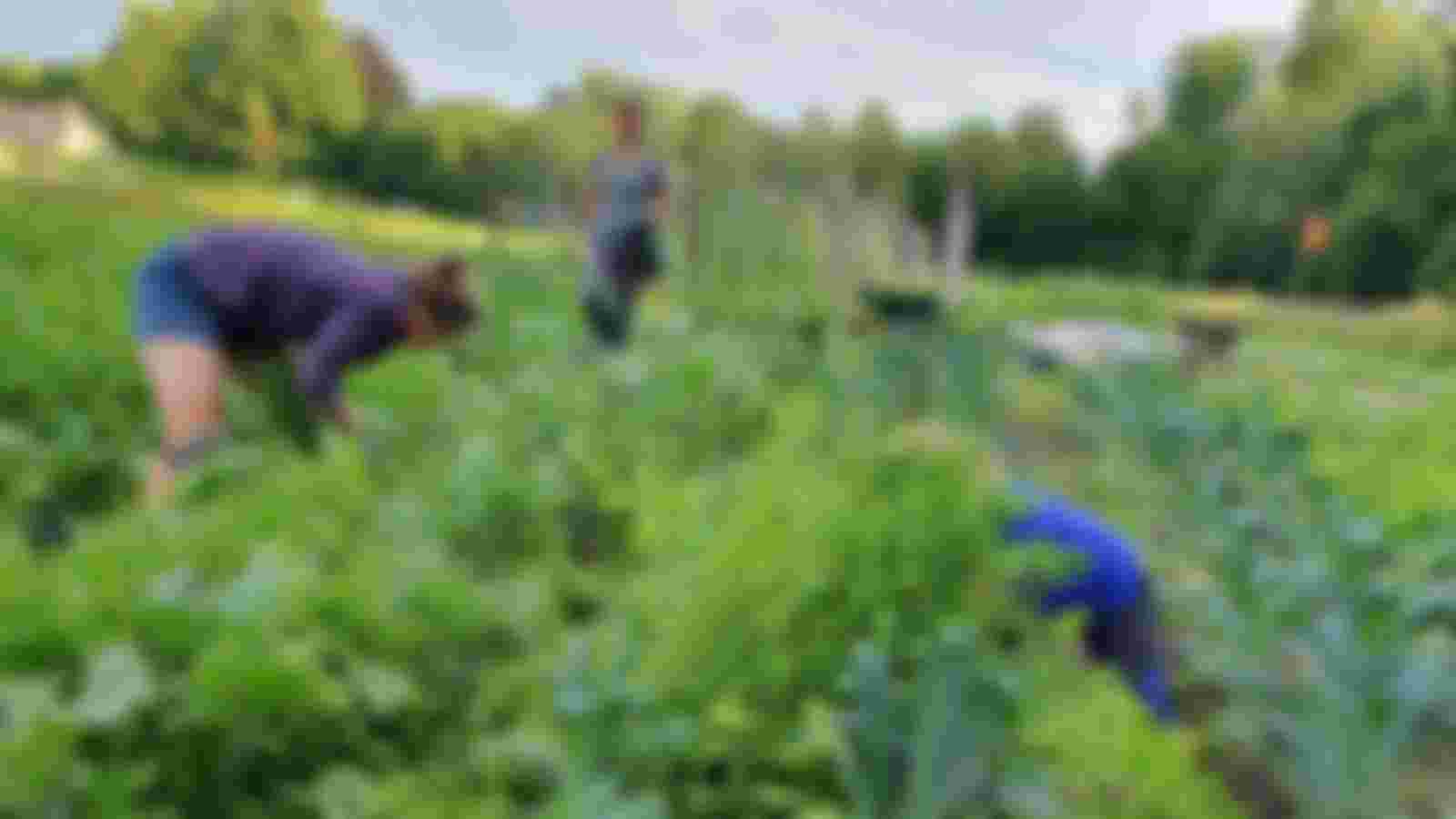 Help mee wanneer het jouw uitkomt