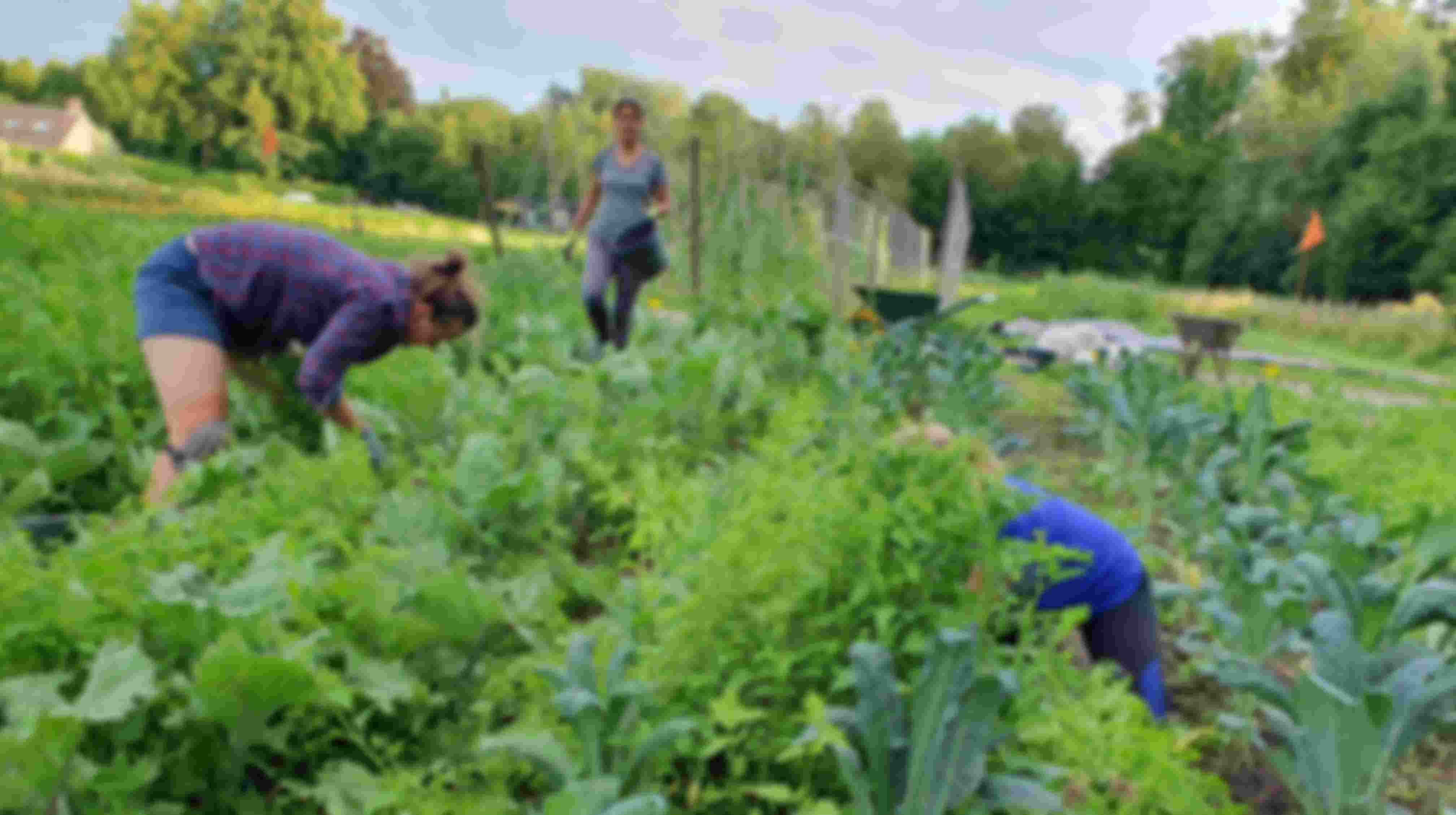 Schoffel mee wanneer het jouw uitkomt
