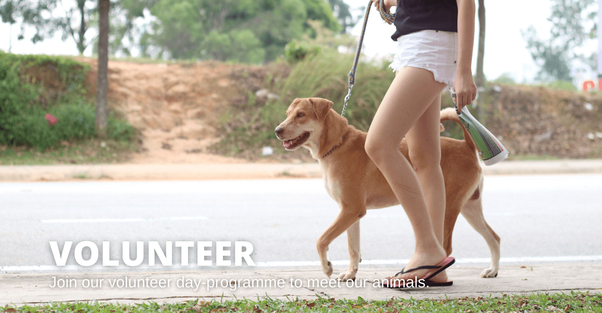 Volunteer with us (25.08.2023)